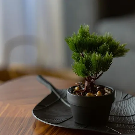 Daire Lakeside Kapelanow Armii Krajowej By Renters *